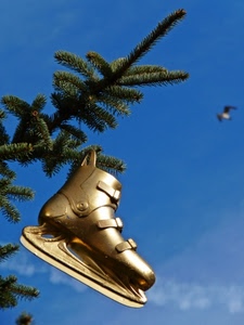 ramo, pattino, cielo, pino, oro, abete, uccello, verde, pattini, albero, appeso, dorato