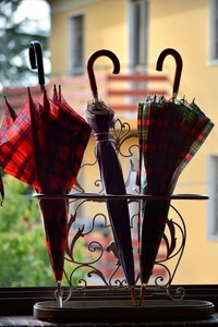 tre, ombrelli, portaombrelli, manici, finestra, sfocato