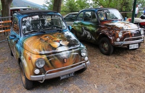 cinquecento, automobili, ruote, auto, fanali, targhe, alberi, fari, colori, leone, due, targa, fiat, paraurti, verde, disegni, dipinte, parabrezza, macchine