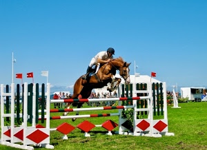 cavallo, fantino, verde, salto, rosso, bianco, erba, prato, ostacolo, bandierine, ostacoli, equitazione, sbarre, cielo, rombi, ippica, gara, istantanea, cavaliere, pali, saltare, spettatori, sport