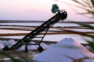 sale, saline, mare, ruote, bianco, acqua, cielo, vasche, salina, marino, macchinario, motore, trasportatore, nastro, mucchi, ferro, rosa