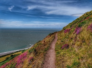 sentiero, mare, nuvole, cielo, fiori, erba, onde, verde, costa, azzurro, acqua, collina, montagna