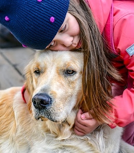 cane, bambina, capelli, occhi, muso, pelo, mano, naso, cappello, berretto, blu, tenerezza, rosso, bocca, rosa, abbraccio, viso, mani