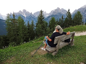 alberi, panchina, montagne, seduto, verde, uomo, erba, prato, bosco, legno, panorama, bastoncini, fiori, cime, riposo, capelli, cielo, uno, montagna, pini, barba, coda, abeti, persona, bastone, vette