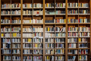 libri, libreria, scaffali, molti, legno, biblioteca, tanti, bianco, ripiani, giallo, etichette, scomparti, colori, marrone, scaffale