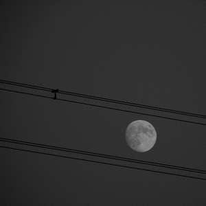 luna, fili, notte, cielo, grigio, nero, cavi, corrente, bianco