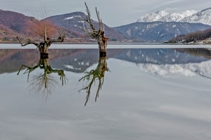 lago, alberi, montagne, riflessi, riflesso, acqua, montagna, panorama, monti