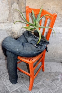 sedia, jeans, pantaloni, pianta, arancione, arancio, grassa, muro