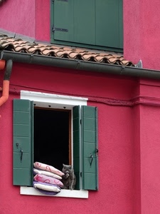 finestra, cuscini, gatto, verde, rosa, persiane, tegole