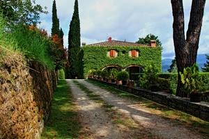 casa, strada, verde, alberi, edera, finestre, cipressi, erba, viale, piante