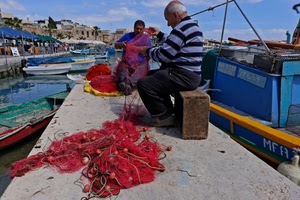 barche, porto, rete, pescatori, reti, rosso, pescatore, mare, rosse