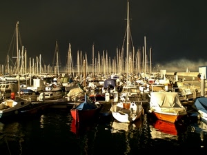 porto, barche, mare, alberi, riflesso, notte, acqua, cielo, notturno