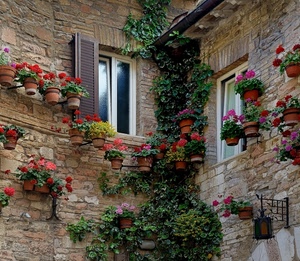 fiori, finestre, vasi, lampione, edera, verde, mattoni, muri, gerani, rosso, piante, angolo, grondaia, rampicante, lampada, persiana, pietre, foglie, case