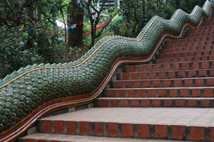 alberi, verde, gradini, scalinata, serpente, scala, scale, scalini, mattoni