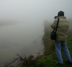 fotografo, nebbia, fiume, borsa, acqua, sponda
