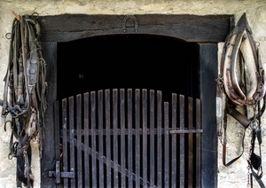 cancello, stalla, ferro, finimenti, porta, briglie, legno, cinghie
