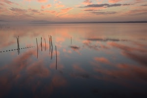 nuvole, tramonto, cielo, riflessi, mare, acqua, riflesso, pali, lago, rosa
