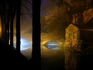 ponte, alberi, notte, riflesso, fiume, notturno, acqua, nebbia, riflessi, luci