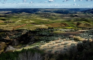 nuvole, panorama, alberi, colline, paesaggio, cielo, ulivi, orizzonte, campagna, verde