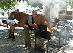fuoco, cavallo, maniscalco, persone, fumo, uomini, fabbro, alberi, animale, maniscalchi, brace, secchio