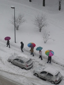 neve, ombrelli, lampione, automobili, inverno, bianco, persone, strada, auto, alberi, colori, passanti, tronchi, pedoni, macchine, due