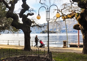 lampione, lago, alberi, passeggino, acqua, albero, rami, carrozzina