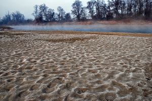 fiume, alberi, sabbia, nebbia, orme, acqua, vapore, fango, impronte