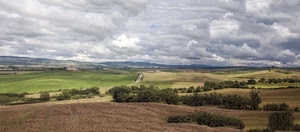nuvole, alberi, cielo, panorama, campi, colline, campagna, verde, paesaggio, strada, piante, collina