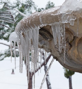 fontana, inverno, ghiaccio, ghiaccioli, freddo, acqua, gelo, verde, stalattiti, albero, alberi, bianco
