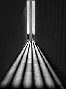 bianconero, ombre, linee, nero, bianco, ombra, luce, prospettiva, pavimento, grata, albero, cancello, luci