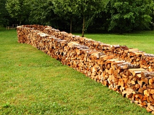 alberi, catasta, legna, erba, prato, verde, legno, pezzi, foglie, cataste, bosco